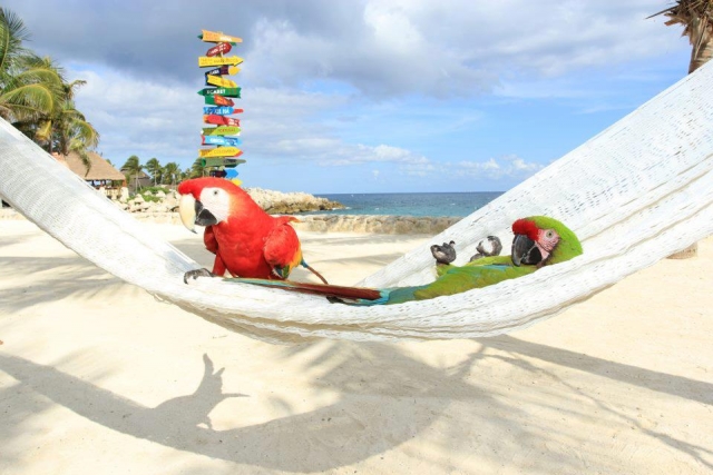 Nuestros anfitriones